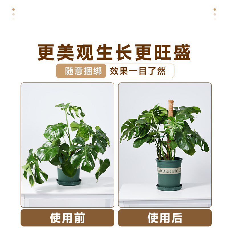 龟背竹支撑杆植物绿箩爬上神器棕棒椰棕柱盆栽绿萝花架子攀爬藤杆