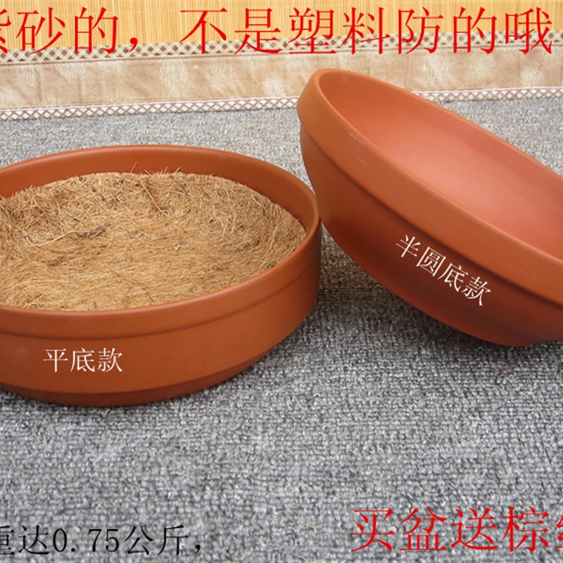 信鸽 赛鸽专用孵化巢盆 真紫砂巢盆  鸽子窝买一盆送一垫