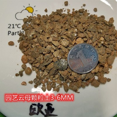 石灰石风化页岩石膏云母仙人球颗粒土铺面垫底碳酸钙营养控型包邮