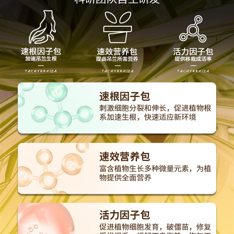 吊兰专用土营养土通用型盆栽绿植养金边吊兰的土壤泥土种植土肥料