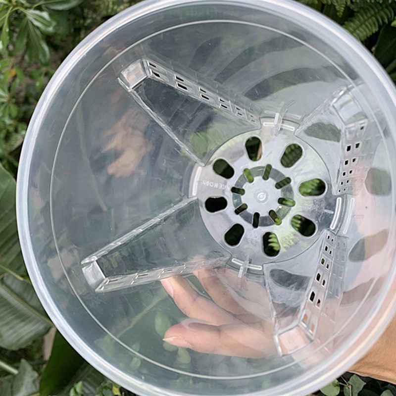 透明控根兰花盆塑料透气加厚热植海芋花烛蔓绿绒专用缕空青山花盆,鲜花速递/花卉仿真/绿植园艺,花盆,淘宝优惠券,粉丝福利购,淘宝优惠卷