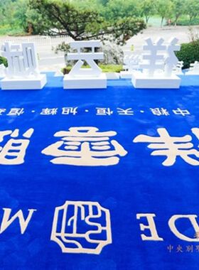 房地产楼盘售楼处手工地毯定制logo地毯电梯毯迎宾毯羊毛混纺地毯
