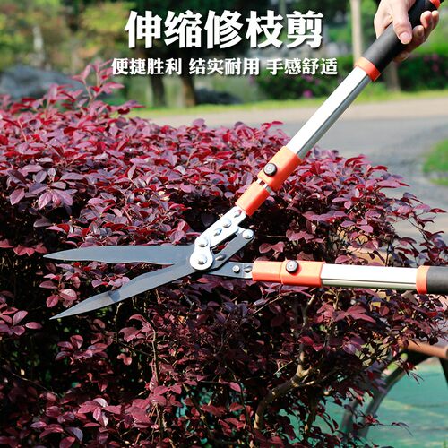 花剪园艺剪刀绿化家用修枝剪树枝果树造型剪草坪剪伸缩绿篱园林剪