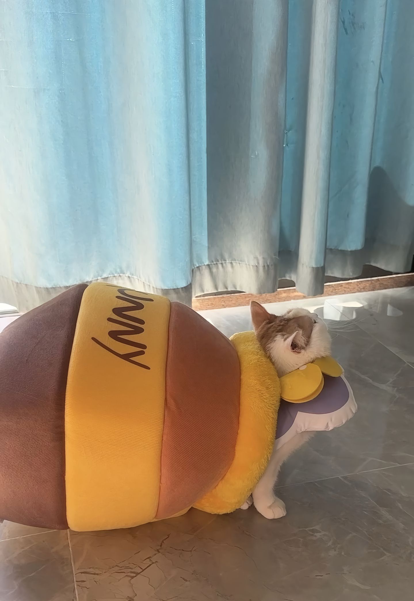 蜂蜜罐猫窝狗窝秋冬保暖柔软舒适可拆洗内部厚垫宠物窝宠物用