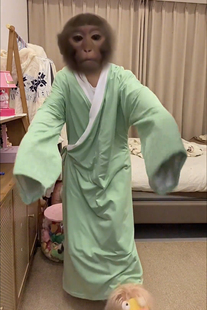 猴哥绿色长衫睡袍猴哥国风搞怪家居服夹棉加厚睡衣宿舍保暖