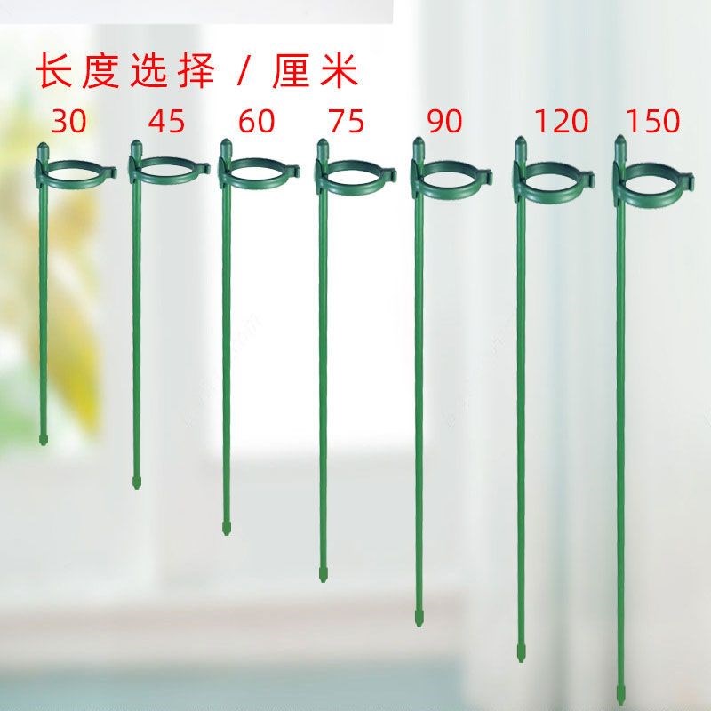 植物固定防倒伏花架子园艺支撑单杆室外花园月季爬藤种菜捆扎支架