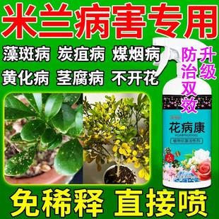 米兰花藻斑病专用药专用肥料治枯黄叶落叶锈病炭疽病杀菌剂营养液