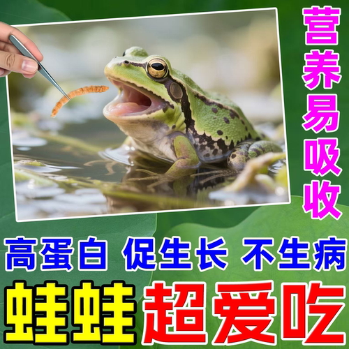 青蛙吃的虫子角蛙树蛙蟾蜍两栖爬行宠物饲料代替活虫高蛋白营养粮
