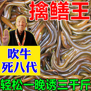 黄鳝诱饵抓泥鳅鳝鱼饲料诱捕鱼虾螃蟹开口剂神器强力爆笼专用小药