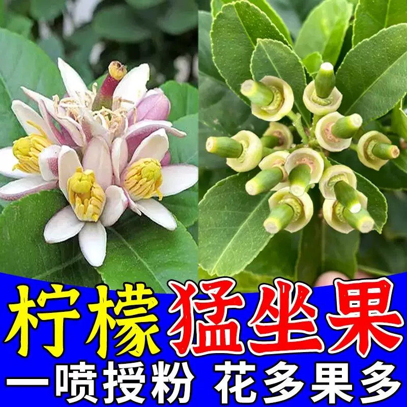 柠檬护花护果肥催花授粉坐果灵增产专用肥叶面肥香水柠檬树肥料