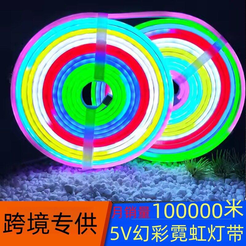 智能灯带装饰灯120灯户外氛围灯室外幻彩硅胶霓虹灯带led灯条工厂图片