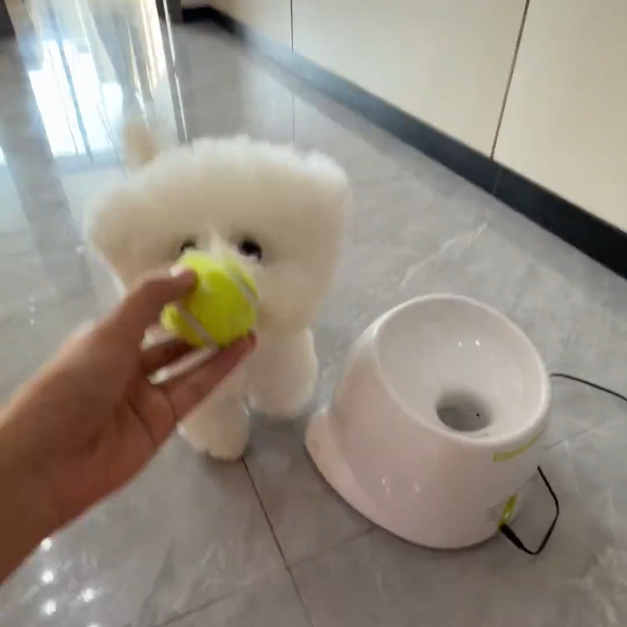 小狗玩具自动发球机玩具新款趣味网球机弹球机吐球机宠物抛球