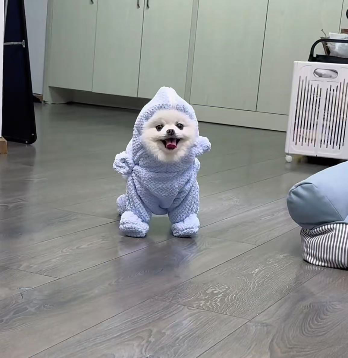 狗狗吸水浴袍宠物专用速干毛巾洗澡浴巾猫咪擦澡巾超强吸水巾小狗