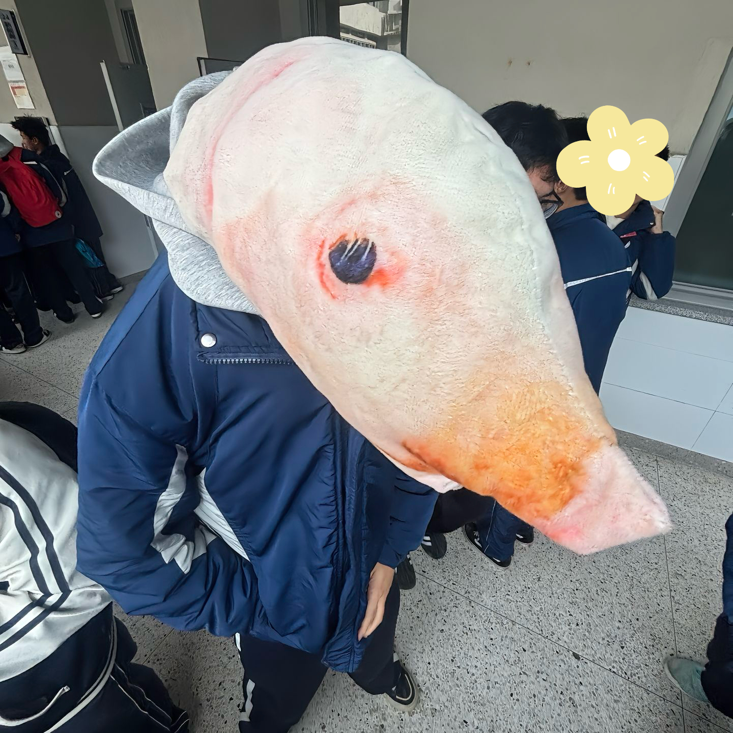 小猪娃娃新款仿真2025趣味公仔抱枕可拆洗玩具毛绒可爱玩偶