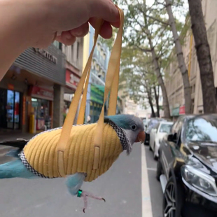 新款便携式手提袋吊床悬挂式鸟笼吊床遛鸟袋出门神器2026