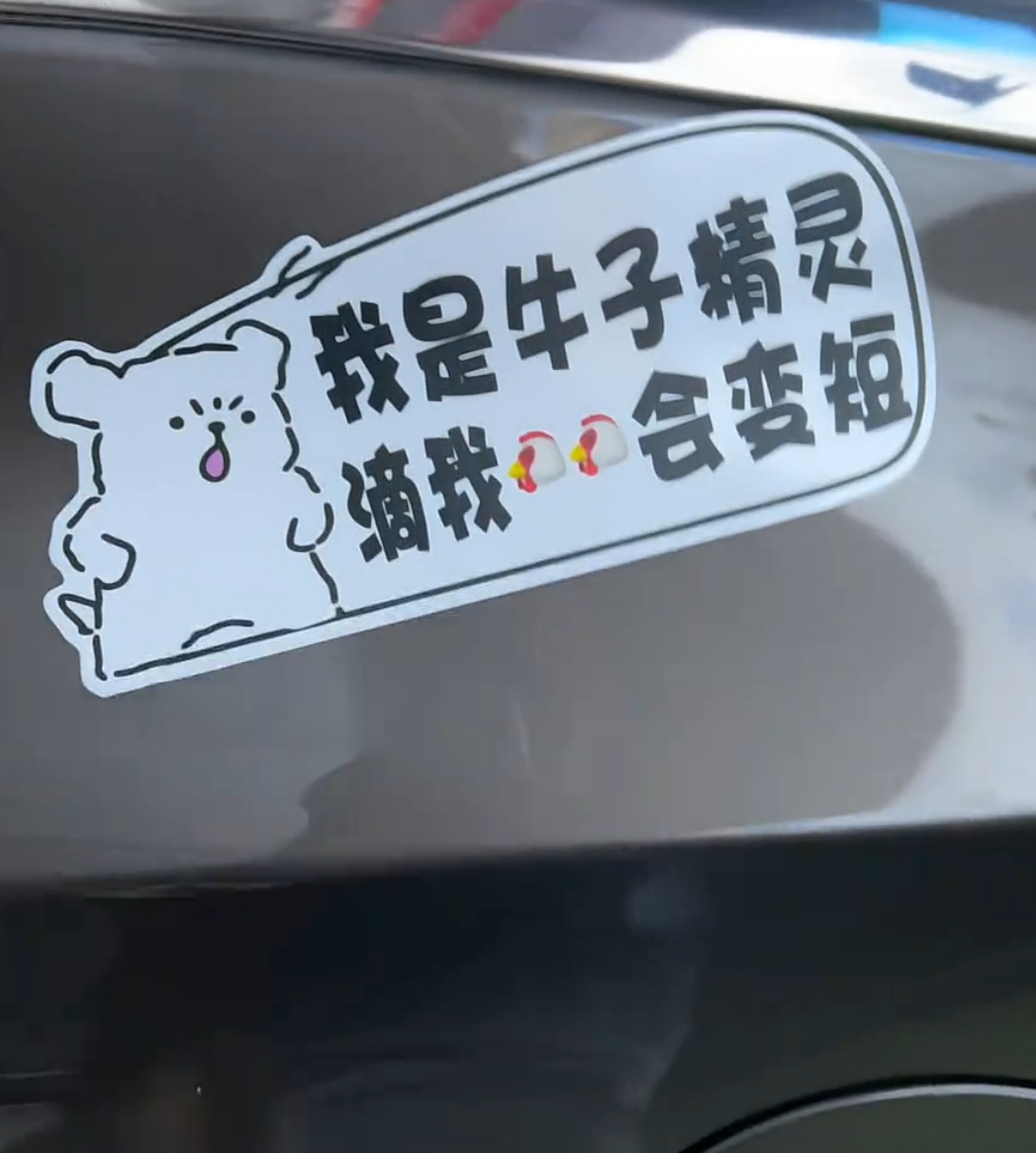 线条小狗汽车贴纸划痕遮挡遮盖车贴电动车装饰贴画车身贴后窗贴