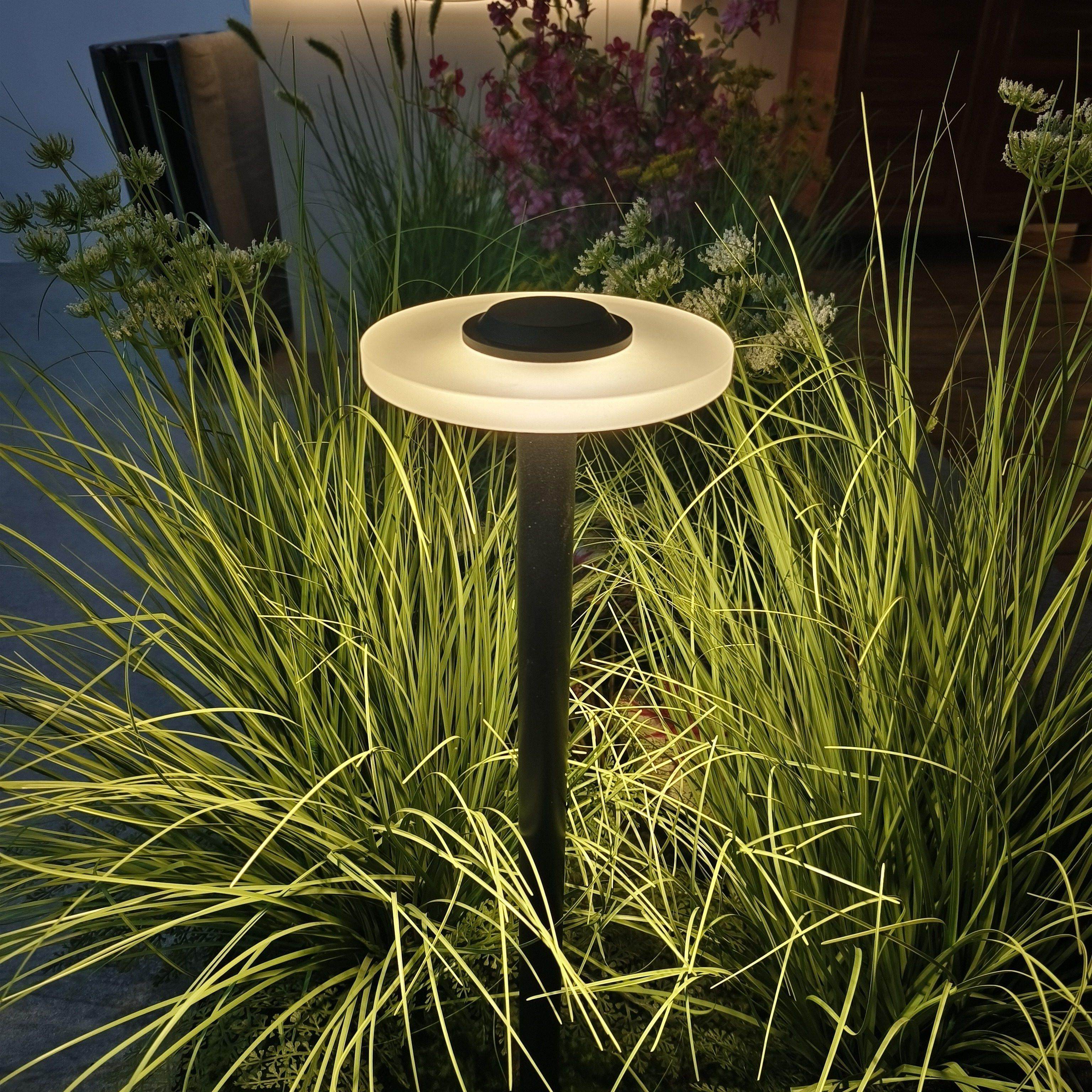 低压24V亚克力平盖草坪灯LED户外花园灯蘑菇灯地插式景观庭院灯饰