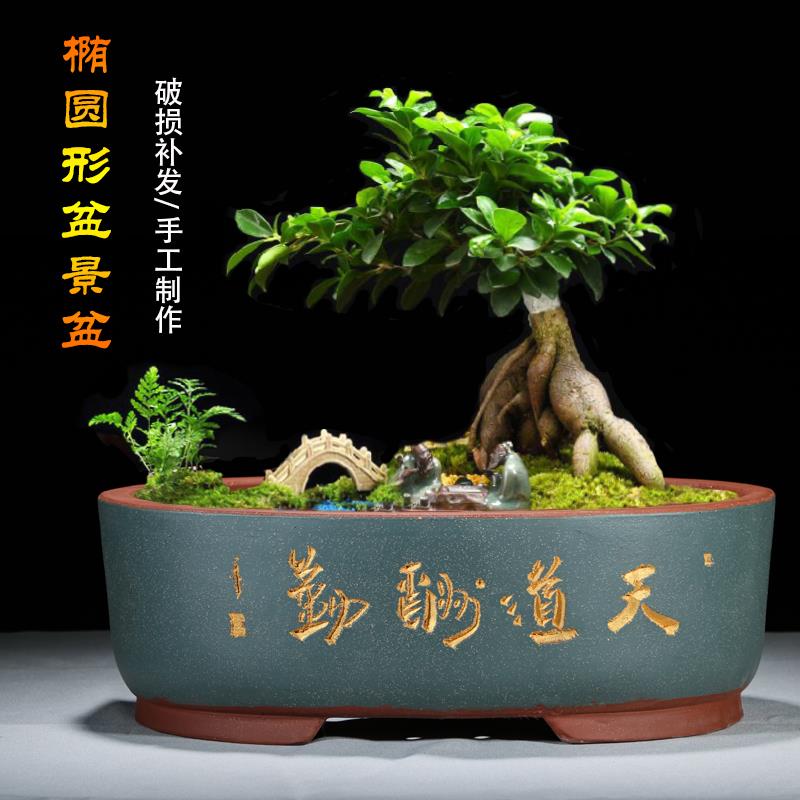 紫砂花盆长方椭圆形盆景盆中国风宜兴简约绿植大号陶瓷老桩种花盆