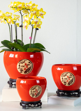 喜庆年宵花红色陶瓷花盆家用简约客厅桌面蝴蝶兰绿萝盆栽陶盆包邮