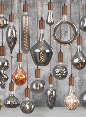 爱迪生led灯泡e27螺口复古暖光烟灰色大茶室民宿橱窗装饰艺术吊灯