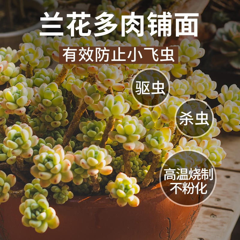 硅藻土颗粒种植介质多肉铺面石君子兰花火烧土媲美赤玉土守宫垫材