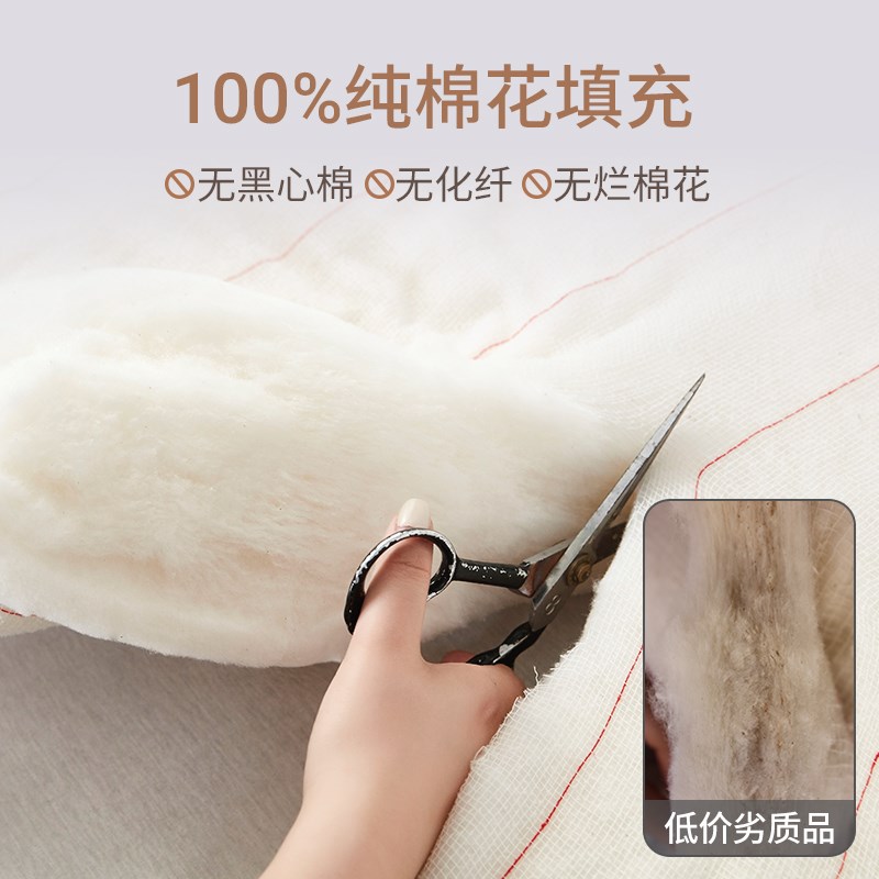 新疆一级长绒棉被纯棉花被子被芯冬被棉絮床垫被褥子铺底冬季加厚