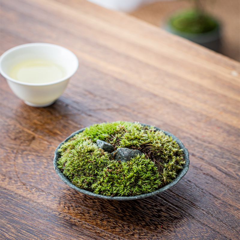 天然石材花盆加工石头微盆青石盆景小件摆设茶桌石花器办公室绿植