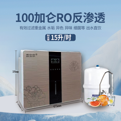 600g净水器RO反渗透纯水机家用直饮厨房除垢除味400G150G100G自吸