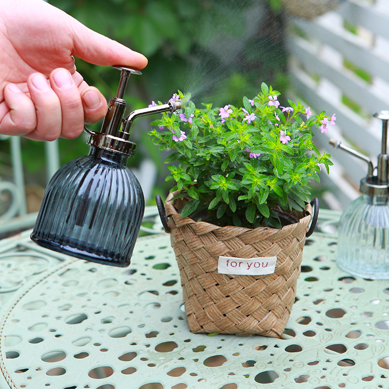 玻璃小喷壶盆栽绿植洒水壶家用桌面小植物喷雾壶多肉植物洒水器