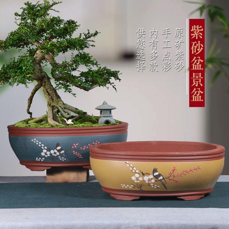 花盆宜兴椭圆形紫砂花盆花卉绿植陶瓷盆景专用花盆树桩盆大号包邮