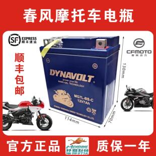 猛狮春风机车原装电瓶250sr/ST狒狒/250nk/nk150/125/国宾/650