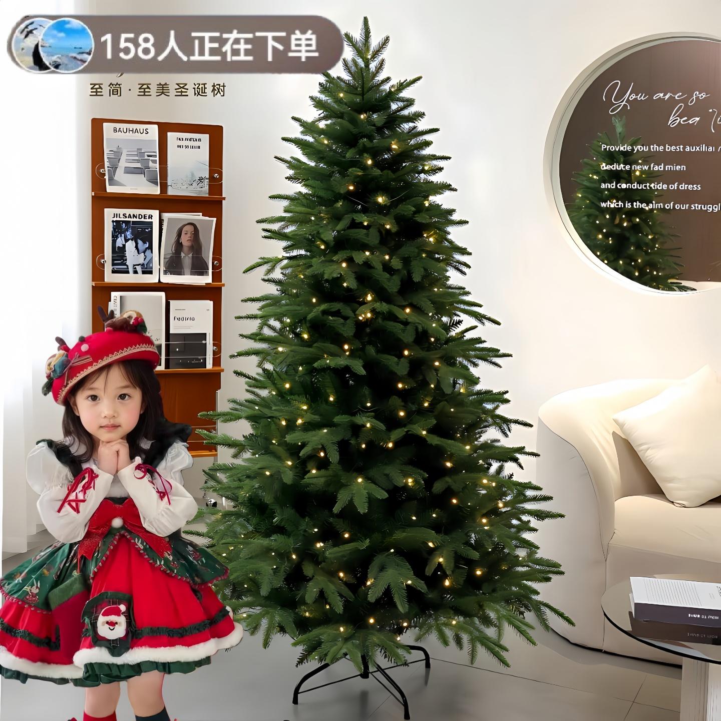 pe圣诞树摆件落地圣诞节装饰品20