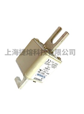 170M3020170M3021170M3023直流熔断器电子元器件库存充足
