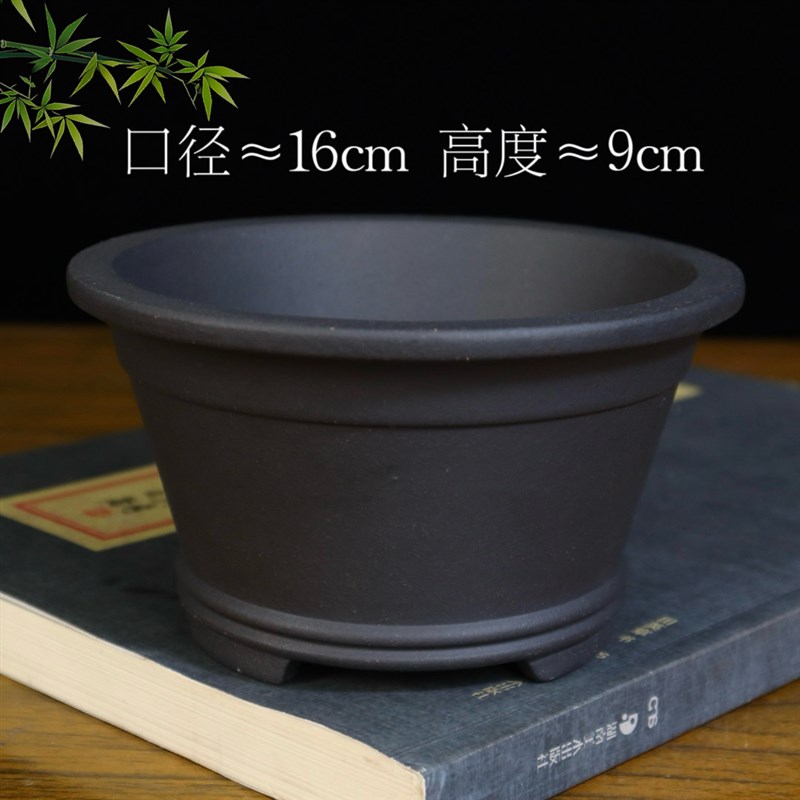 精品紫砂小花盆绿植多肉盆景盆栽盆菖蒲云竹金弹子盆圆斗笠盆