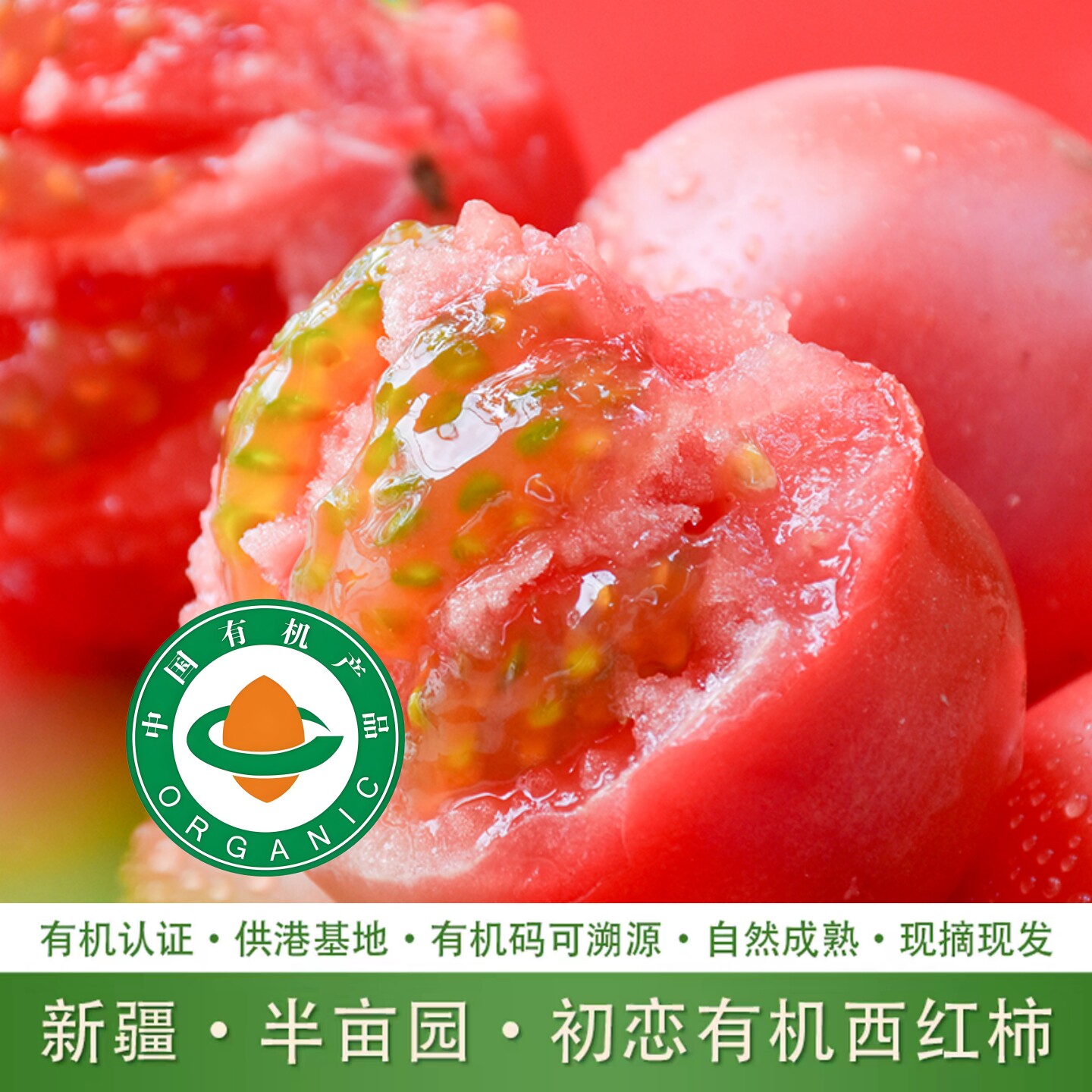 有机西红柿新疆普罗旺斯番茄自然成熟现摘生吃沙瓤孕妇现摘现发