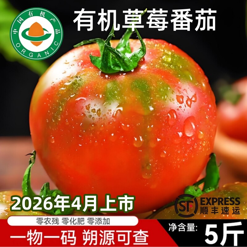 2026年有机铁皮草莓番茄新鲜西红柿自然熟柿子孕妇水果沙瓤番茄