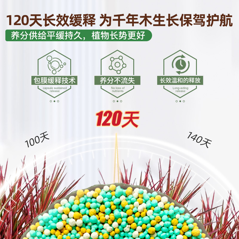 千年木肥料花肥复合肥马尾铁七彩铁专用肥绿植盆栽缓释肥有机肥