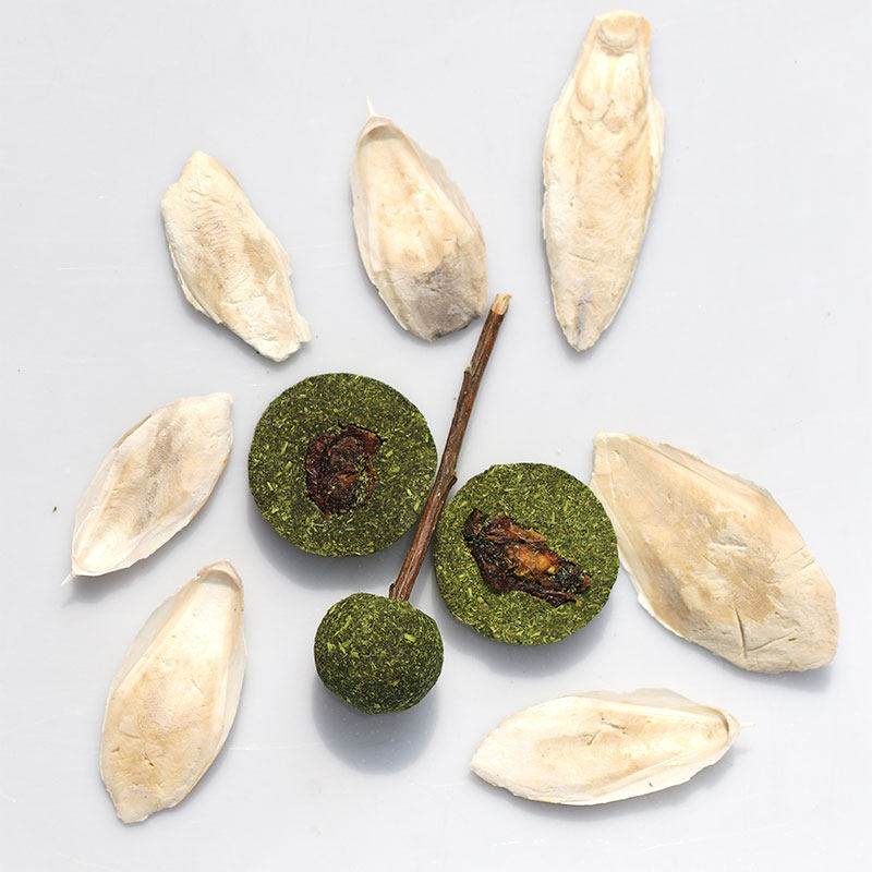 金丝熊仓鼠防咬笼越狱磨牙棒棒糖墨鱼骨树枝甜竹草饼套装满即包邮