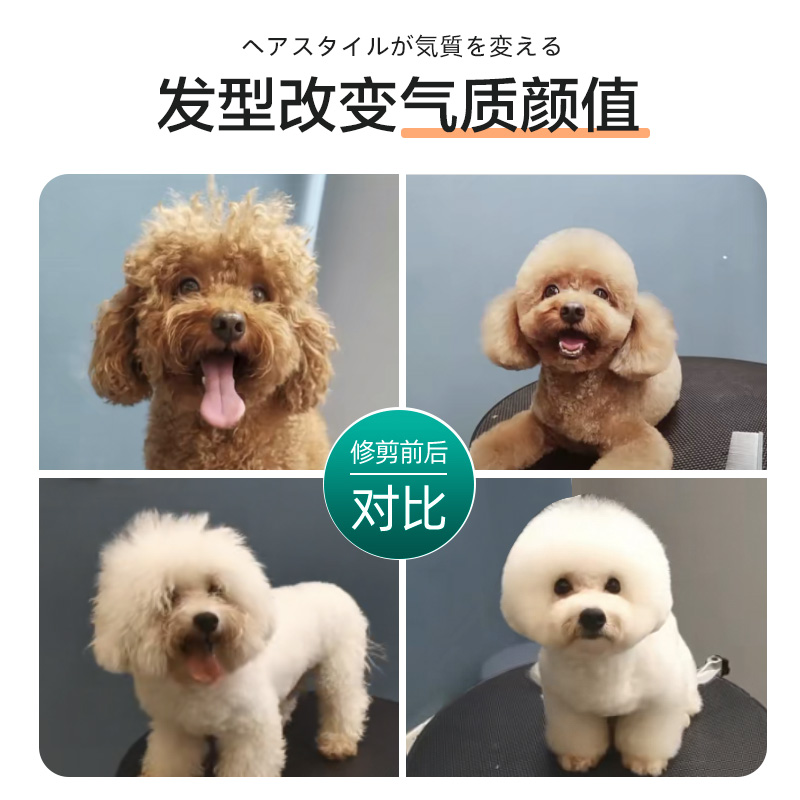 宠物美容剪刀狗狗剪毛神器专业工具美容师专用弯剪修毛美发套装