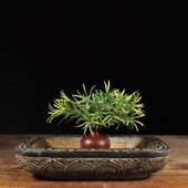 包邮 仿古石雕青石民俗怀旧年年有余石盆石槽中式 复古花鱼盆居陈设