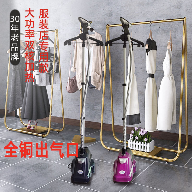 立挺商用蒸气挂烫机蒸气熨斗家用服装店大功率手持立式烫衣服电熨