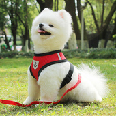 法斗遛狗绳泰迪柯基胸抱婴袋博美狗炼狗 款 溜狗狗牵引绳背心式 夏季