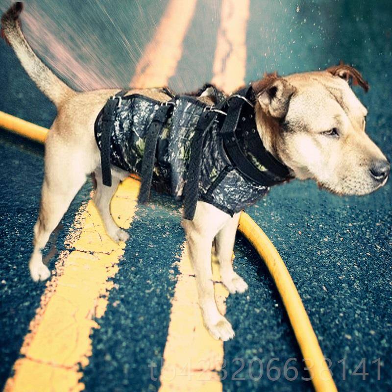 正品比特杜高 狗护甲猛犬打新品2猎019犬防护服 野猪服装 衣服 秋