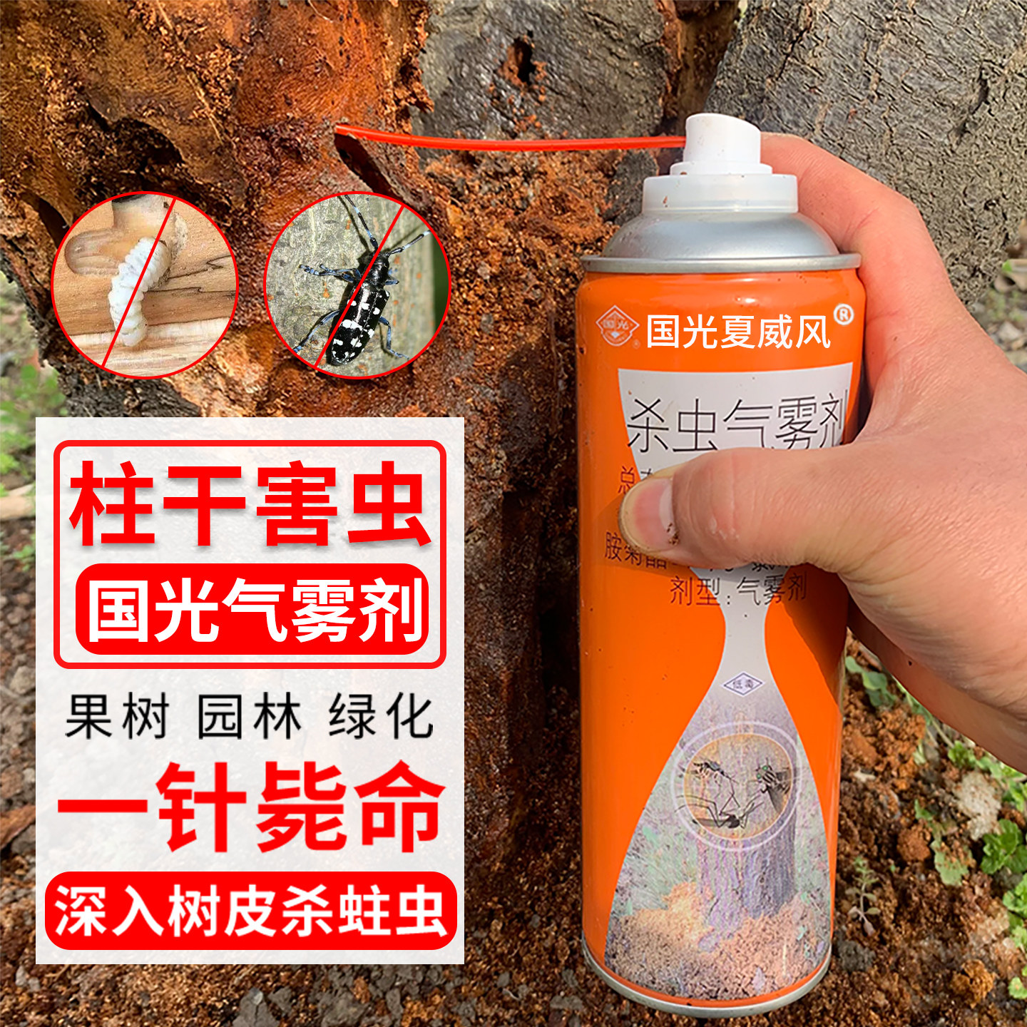 国光毒枪天牛杀虫气雾剂蛤虫钻心虫蛀木虫天牛专杀枇杷果树洞虫药图片