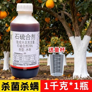 国光圃彩石硫合剂水剂白粉病杀菌剂红蜘蛛蚧壳虫杀虫剂柑橘清园剂