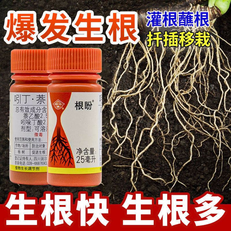 国光根盼吲哚丁酸萘乙酸植物生根剂扦插移栽苗木花卉爆发式生根液