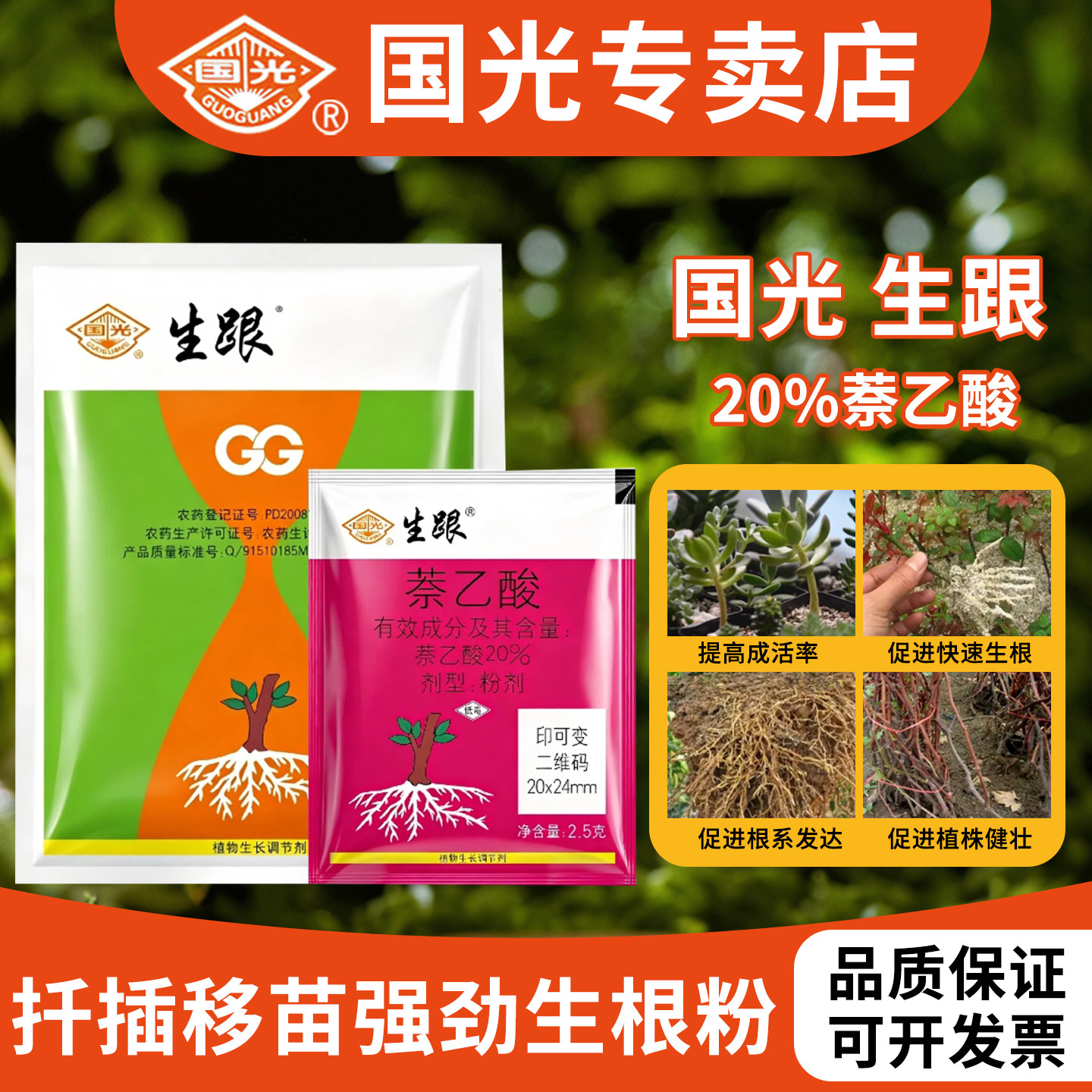 国光生根粉萘乙酸粉剂月季扦插苗木移栽强劲生根剂发根通用生根粉