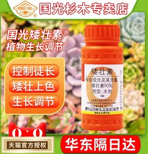 国光矮壮素矮化剂花卉盆栽控徒长矮肥圆多肉植物生长调节剂上色剂