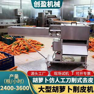 商用胡萝卜削皮机全自动白萝卜山药茄子去皮机大型净菜加工设备