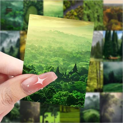 自然风景森林贴纸ins治愈系雨林风光贴画diy手机电脑笔记本装饰图